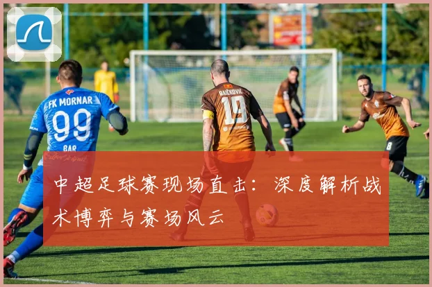 中超足球赛现场直击：深度解析战术博弈与赛场风云